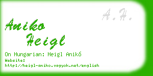 aniko heigl business card